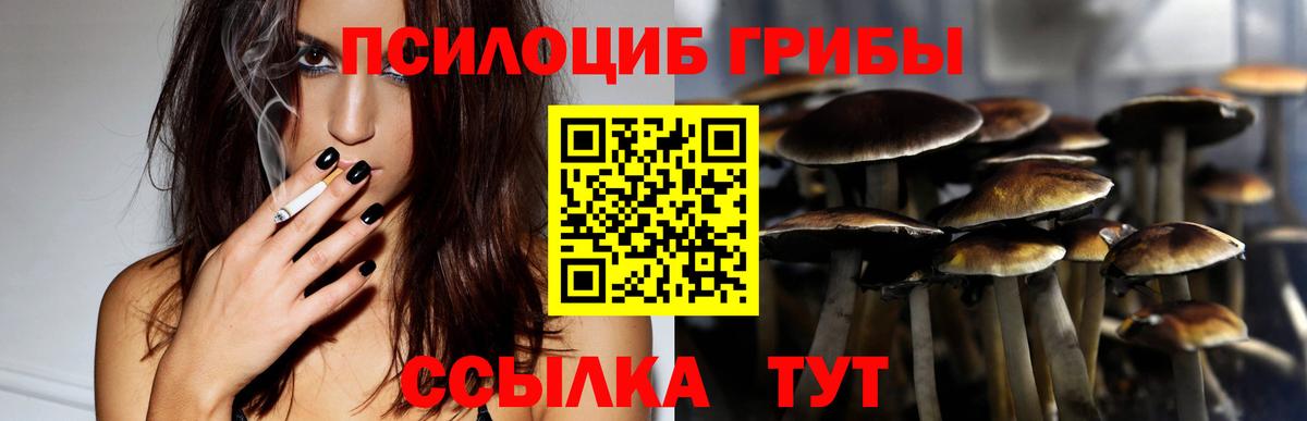Таганрог  Псилоцибиновые грибы ЛСД  Вход с VPN 
